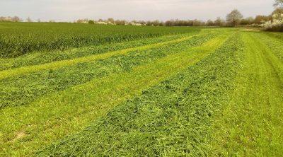 ensilage_herbe_1600 ensilage_herbe_1600