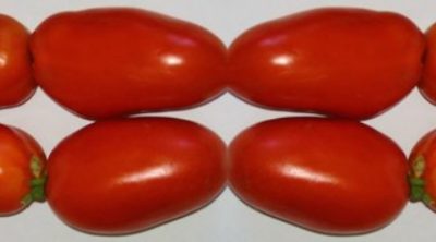 tomate tomate